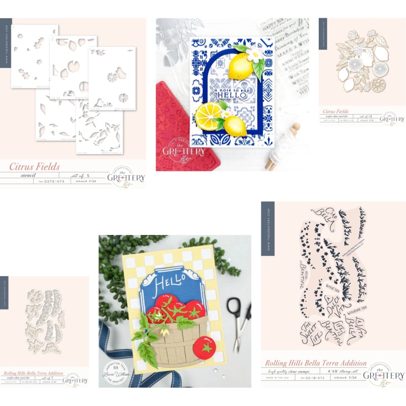 Checks Out Citrus Fields Clear - Clear Silicone Stamps For Card Making 评论和价格