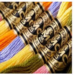 OneRoom French DMC Floss Embro - Cotton Embroidery Thread Skeins 评论和价格