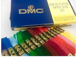 OneRoom French DMC Floss Embro - Cotton Embroidery Thread Skeins 评论和价格